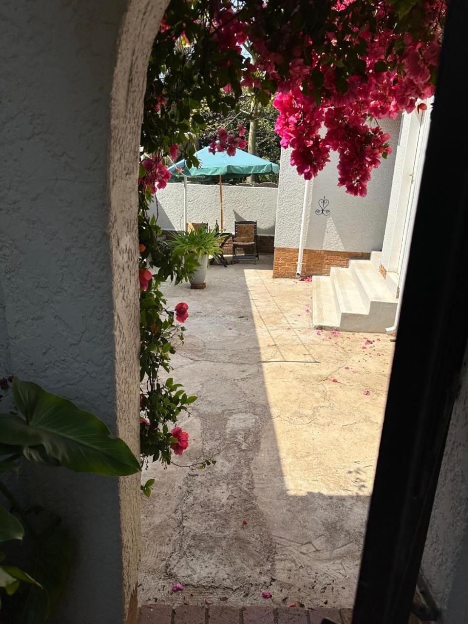 Bagley Terrace 136 Cottage 约翰内斯堡 外观 照片