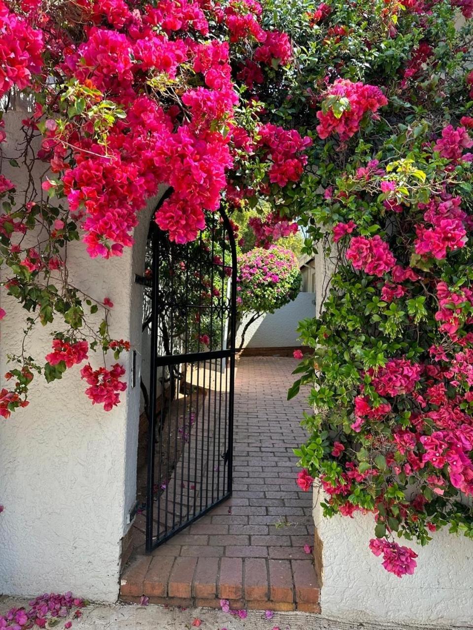 Bagley Terrace 136 Cottage 约翰内斯堡 外观 照片