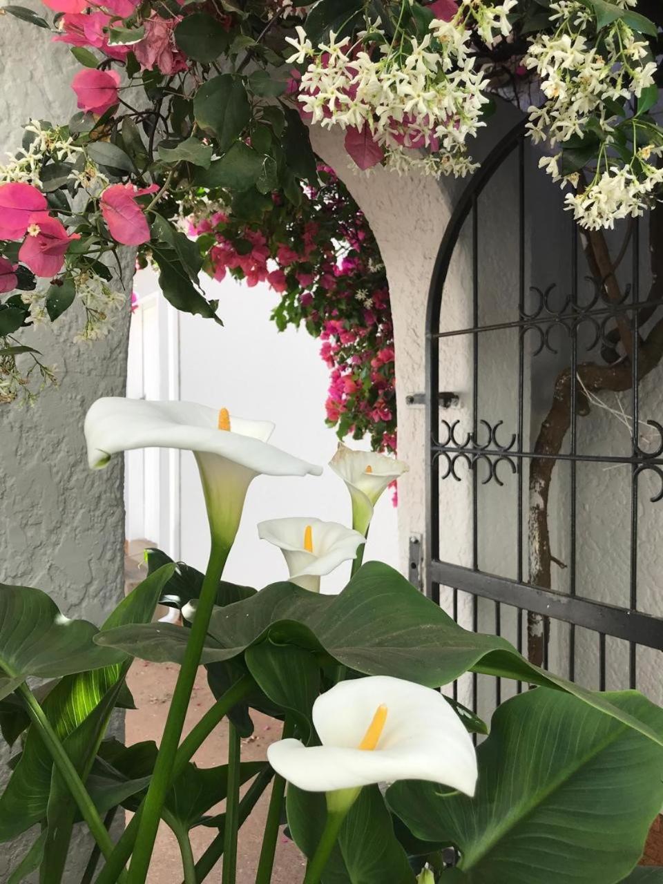 Bagley Terrace 136 Cottage 约翰内斯堡 外观 照片