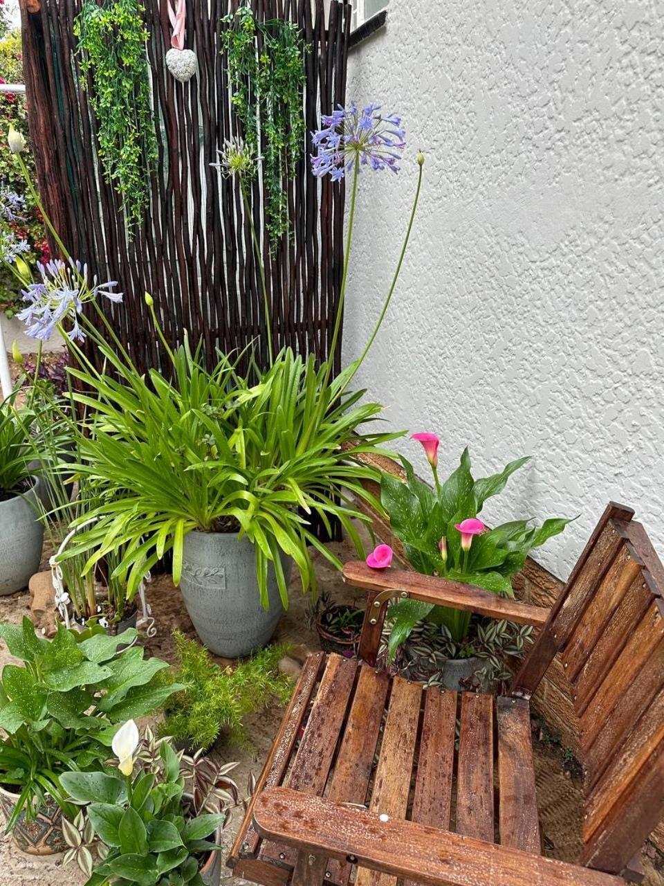Bagley Terrace 136 Cottage 约翰内斯堡 外观 照片